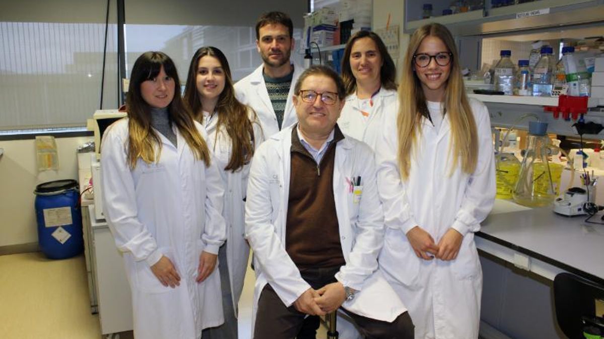 Investigadores riojanos abren la puerta a nuevos tratamientos para la inflamación pulmonar severa