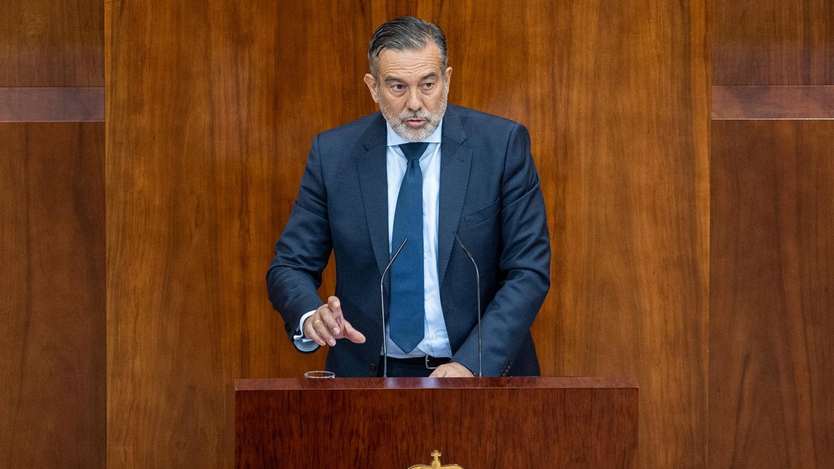 El secretario de Justicia e Interior del PP y consejero de Presidencia, Justicia e Interior de la Comunidad de Madrid, Enrique López, en una sesión de control al Gobierno de la región, en la Asamblea de Madrid.