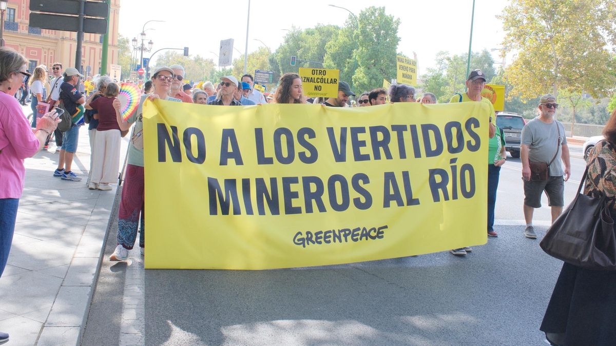 La marcha hasta las Setas de Sevilla ha congregado a un millar de personas, según la Policía, 3.000 según los convocantes