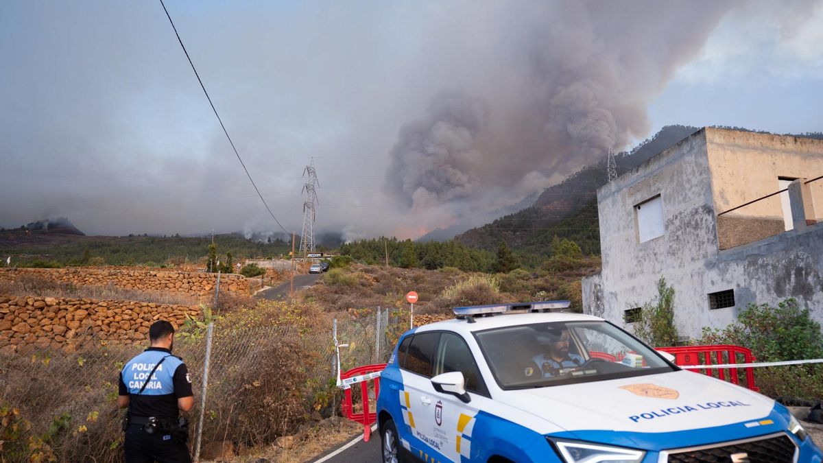 Fotogalería | El incendio declarado en Tenerife, en imágenes