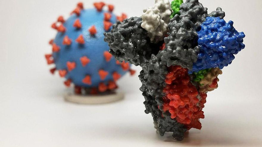 Representación de la proteína spike del SARS-CoV-2 frente a una partícula del virus. / NIH