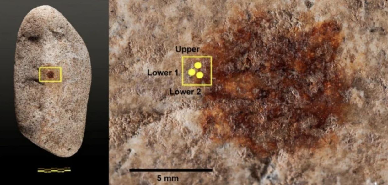 La mancha de ocre rojo coincide con el lugar donde estaría la nariz de una figura humanoide, un ejemplo de pareidolia que sugiere que el autor reconoció una forma y decidió interactuar simbólicamente con ella