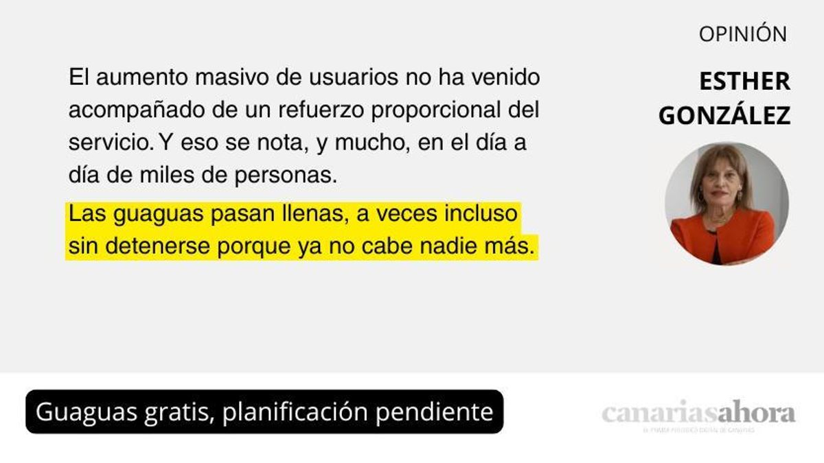 Guaguas gratis, planificación pendiente
