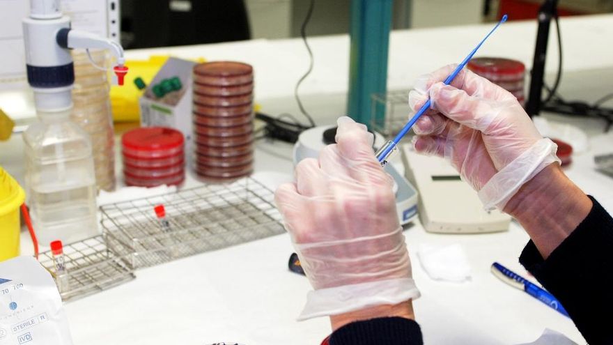 Imagen de archivo de muestras para una PCR.