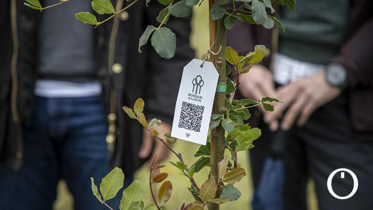 Diputación y Silbon colaboran en una nueva jornada de reforestación en la Finca Porrillas