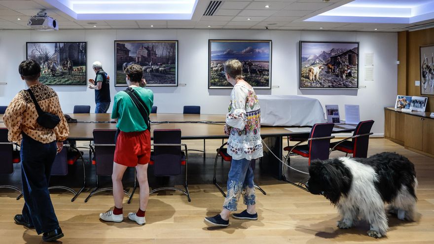 Francia inaugura un museo para los perros, el segundo más grande del mundo