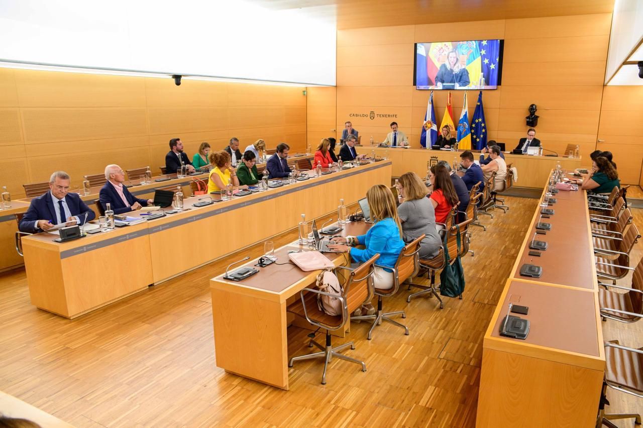 Pleno extraordinario sobre la filoxera en el Cabildo de Tenerife celebrado este viernes, 12 de septiembre.