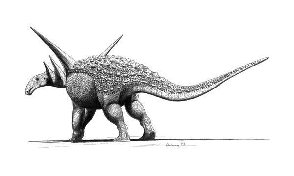 Se analizaron los restos dentales de dinosaurios como Sauropelta edwardsorum 