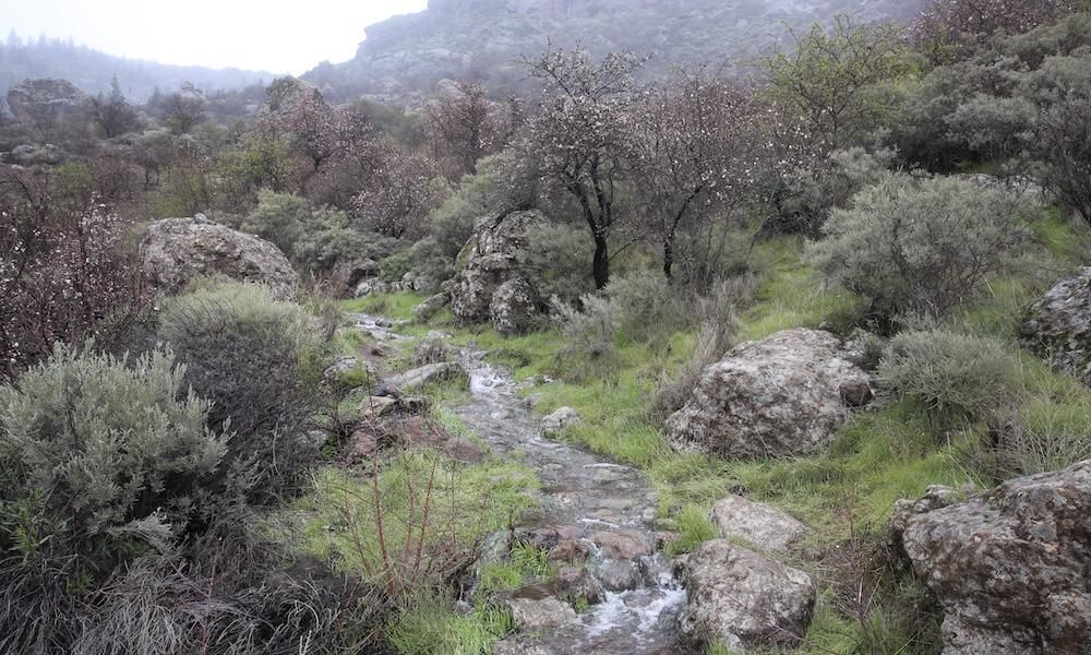Cumbre grancanaria a jueves, 8 de febrero de 2018.