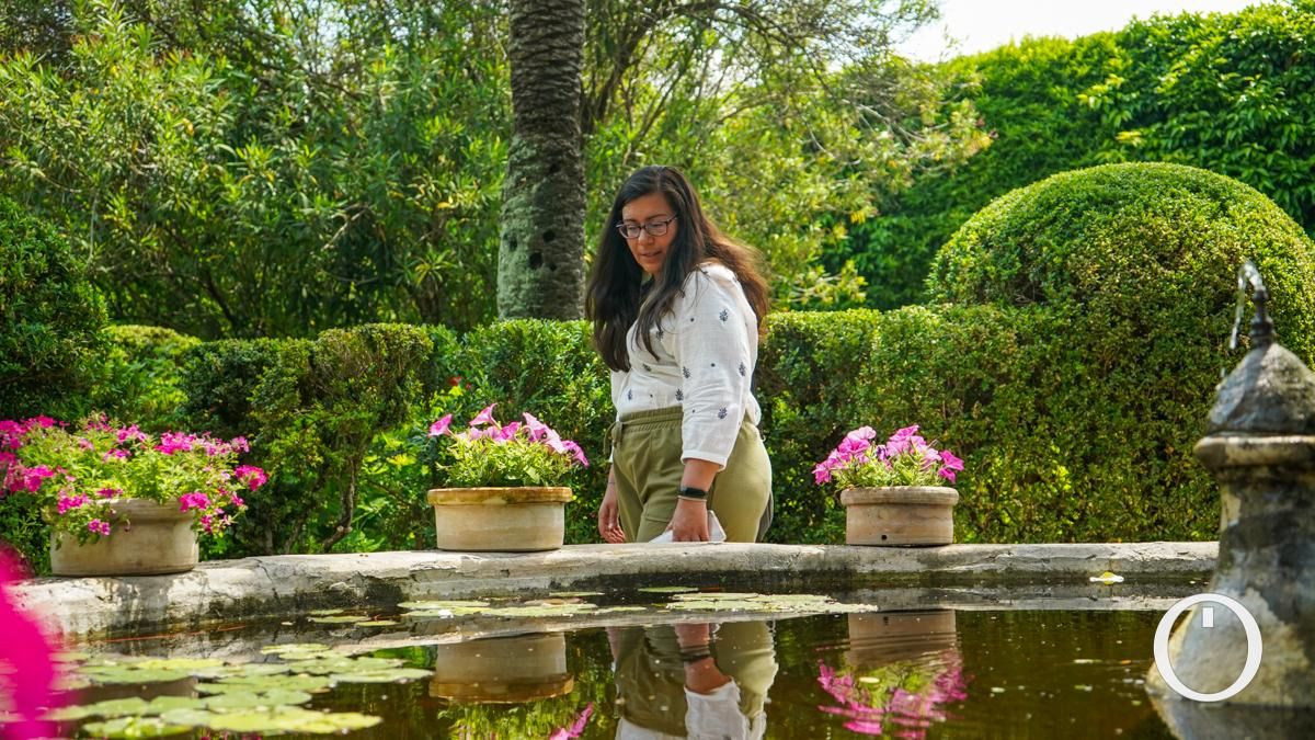 Jornada de puertas abiertas en todos los Patios del Palacio de Viana