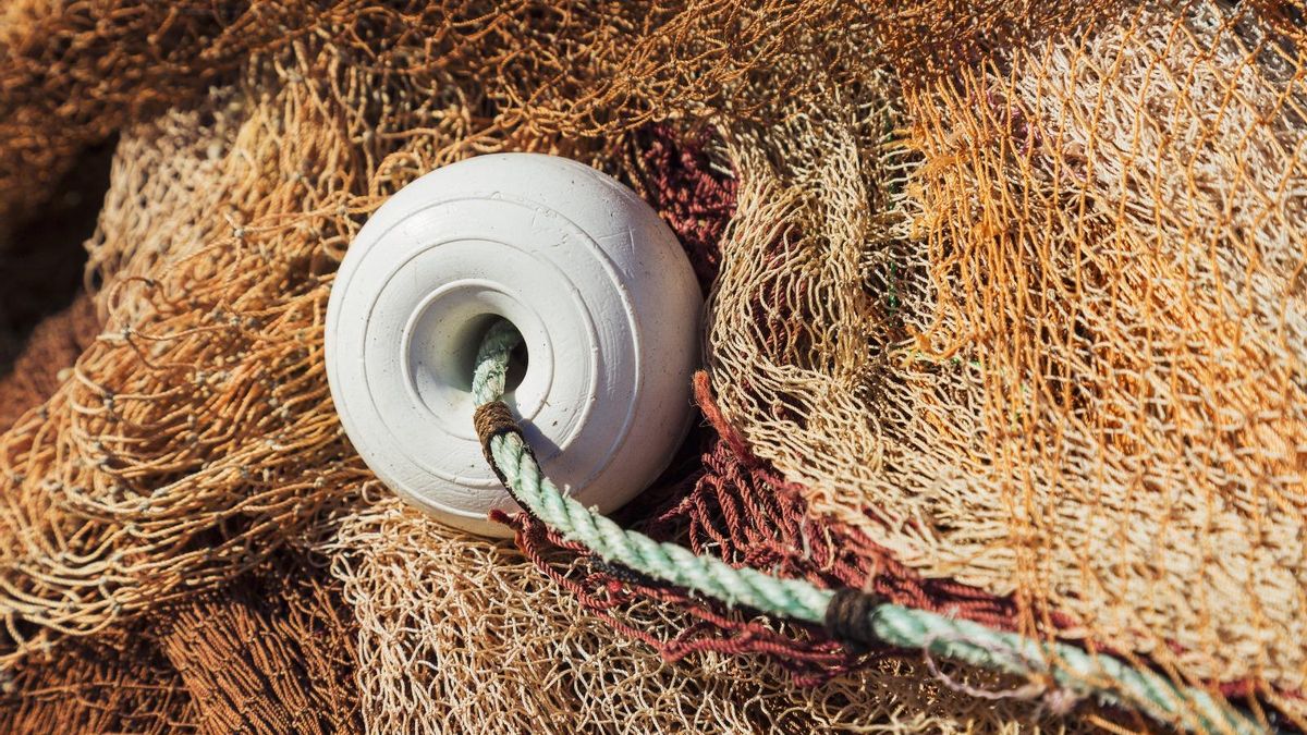 Los Grupos de Acción Local Pesquera reclaman garantías para el futuro del Desarrollo Local Participativo en las zonas pesqueras