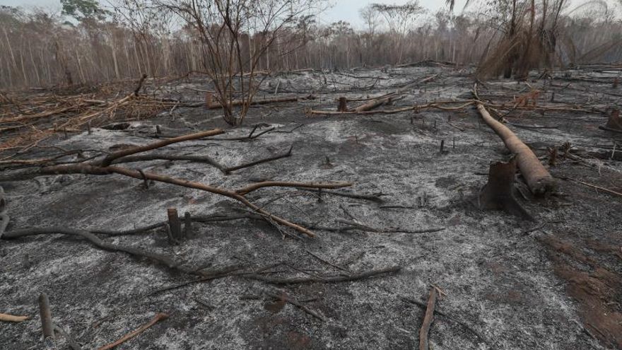 Los fuegos descontrolados en esta área de transición entre el Chaco y la Amazonía comenzaron hacia mediados del pasado agosto, cuando llegaron a superar los 8.000 focos activos.