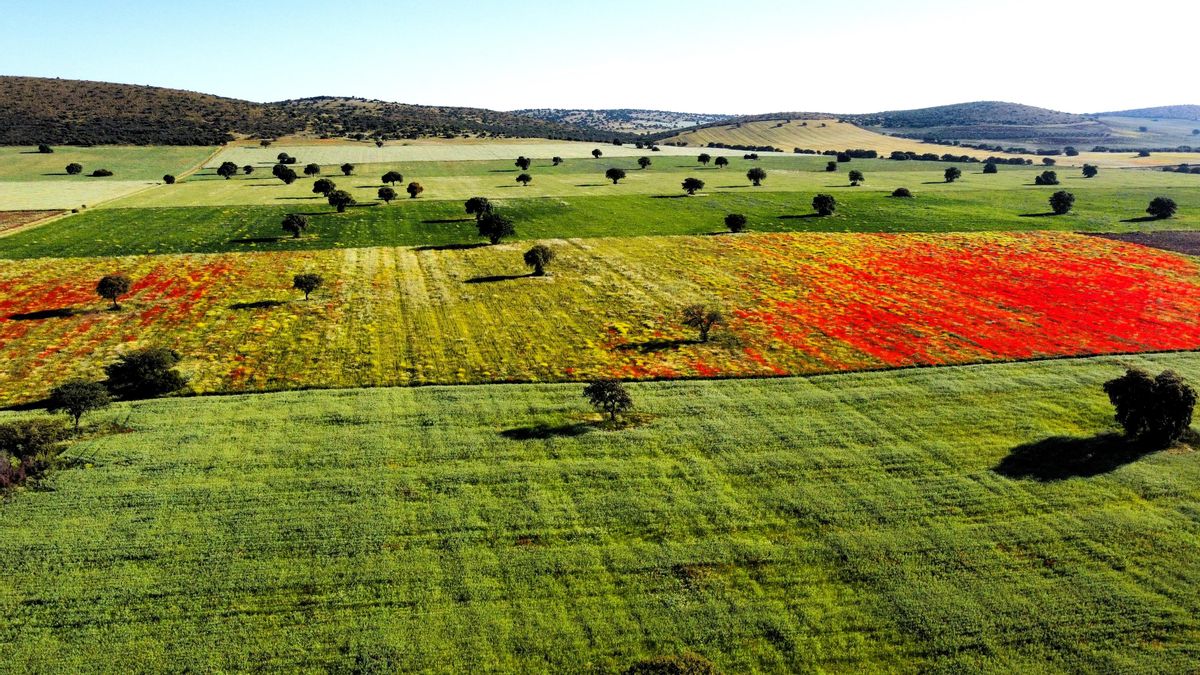 Campo de Montiel, a caballo entre Ciudad Real y Albacete