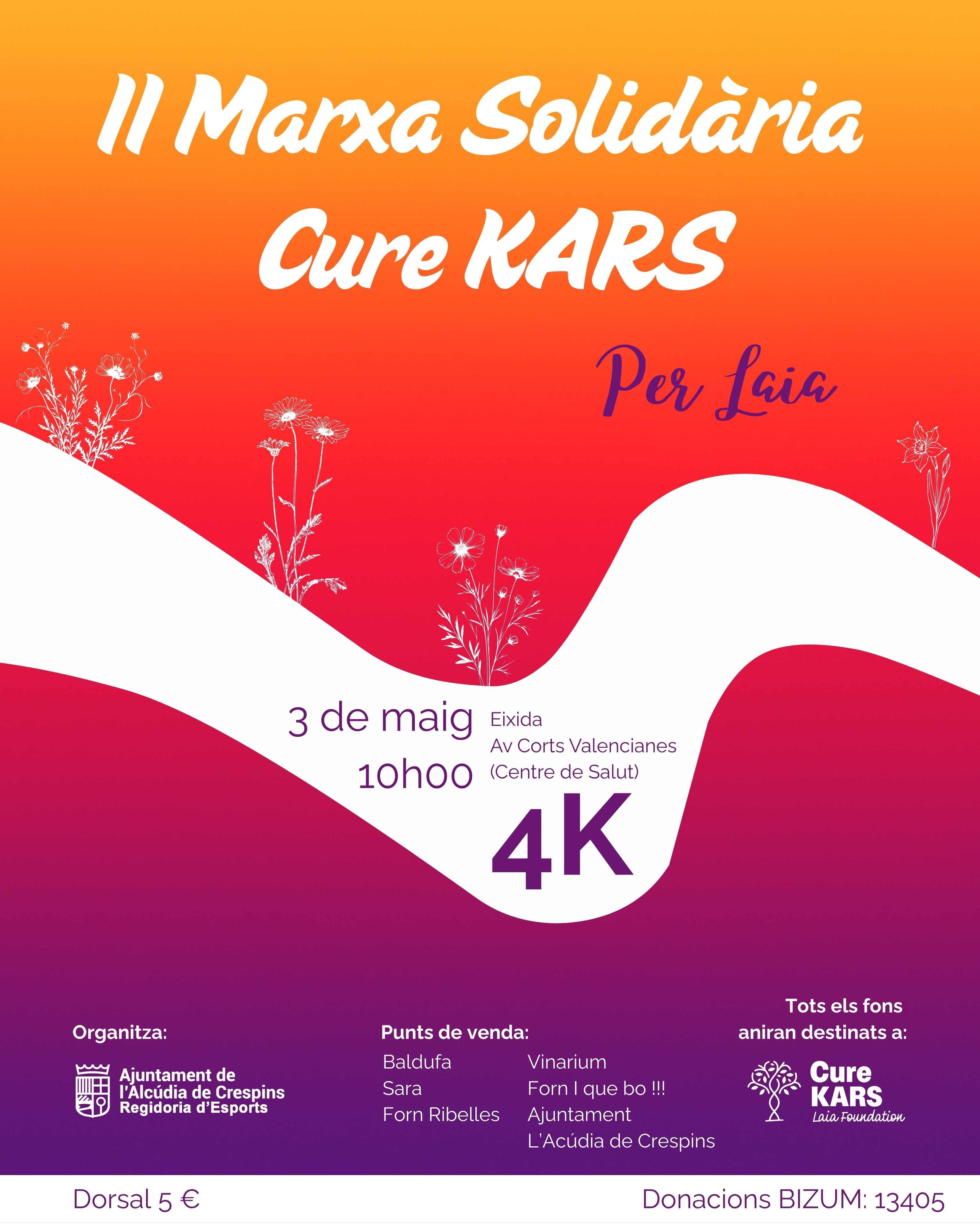 Cartel de la II Marcha Solidaria.