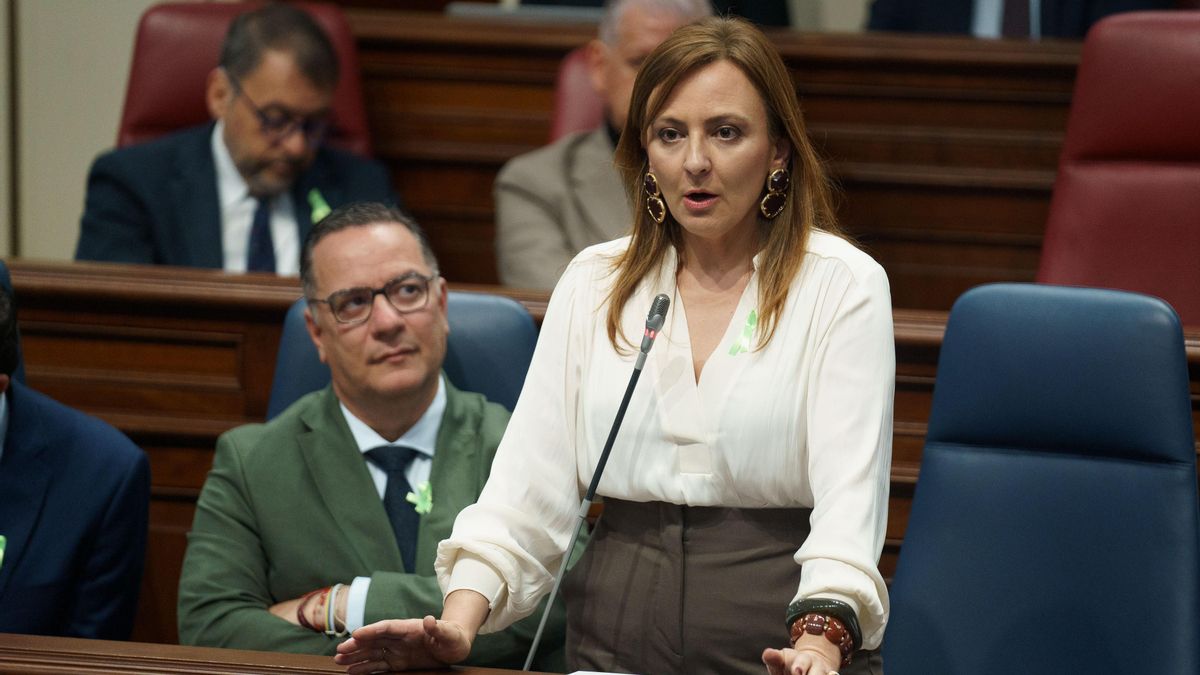 La consejera de Presidencia, Administraciones Públicas, Justicia y Seguridad del Gobierno de Canarias, Nieves Lady Barreto, durante el pleno del Parlamento de Canarias celebrado este martes. EFE/Ramón de la Rocha
