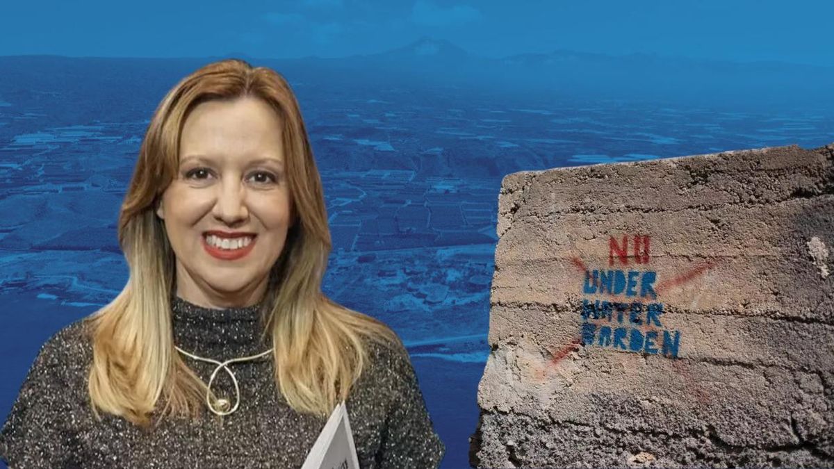 Ecologistas exigen paralizar el proyecto Underwater Gardens: "La decisión está únicamente en manos de Rosa Dávila"