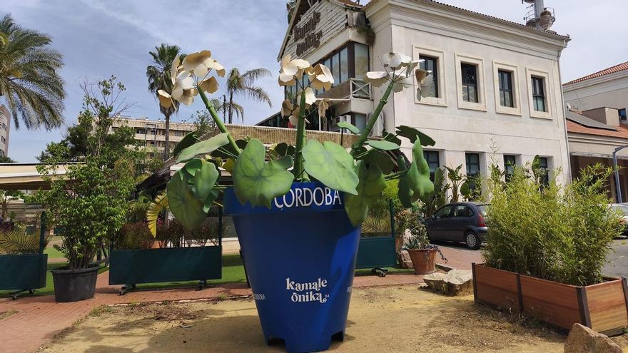 Instalan las macetas gigantes de la Feria de Córdoba en distintos puntos de la ciudad