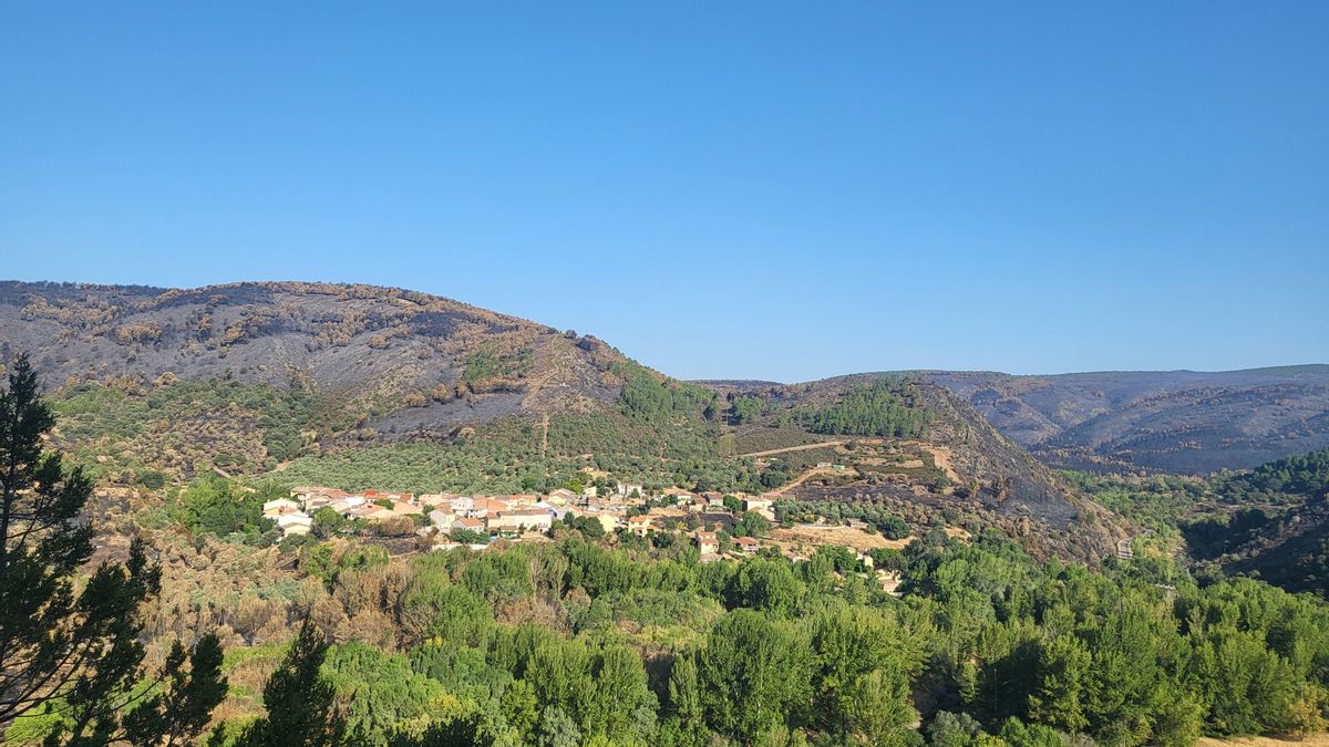 La iniciativa de una asociación cultural para recaudar fondos y combatir los incendios tras el de La Mierla