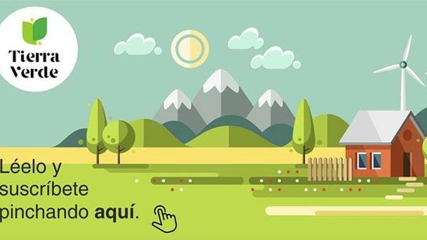 Todos los boletines de TIERRA VERDE de ILEÓN en 2021