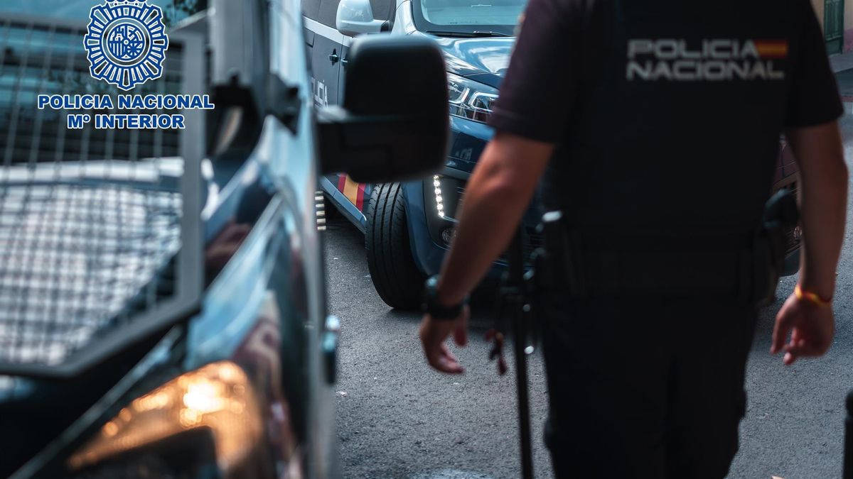 Desarticulado un grupo criminal en Tenerife con cuatro detenidos por robar en comercios