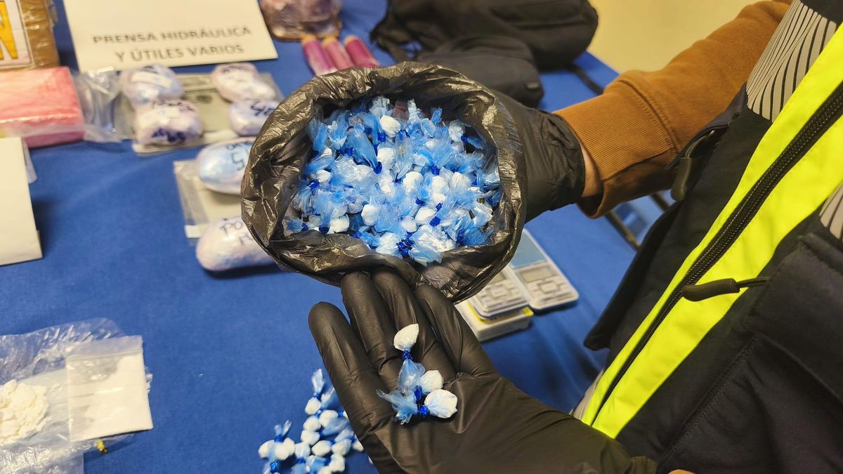 Siete detenidos de una red de tráfico de cocaína desarticulada en Zaragoza y que lideraba un joven de 23 años