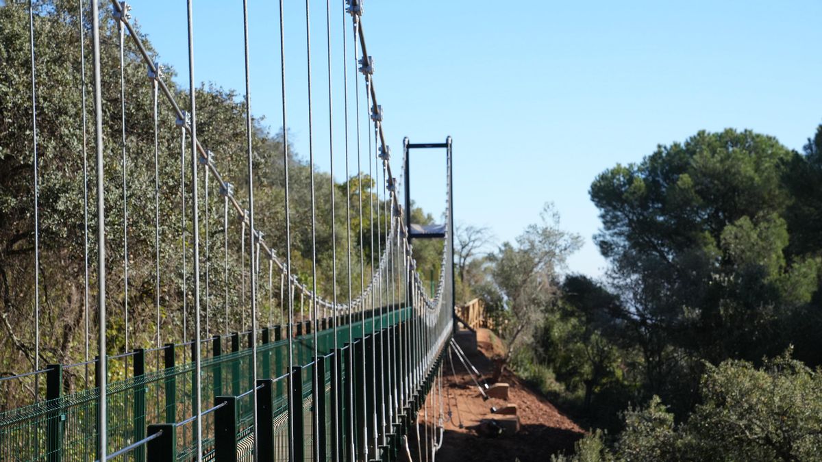 Puente colgante del Cinturón Verde