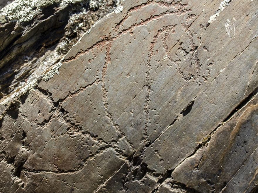 Grabado paleolítico en Siega Verde.