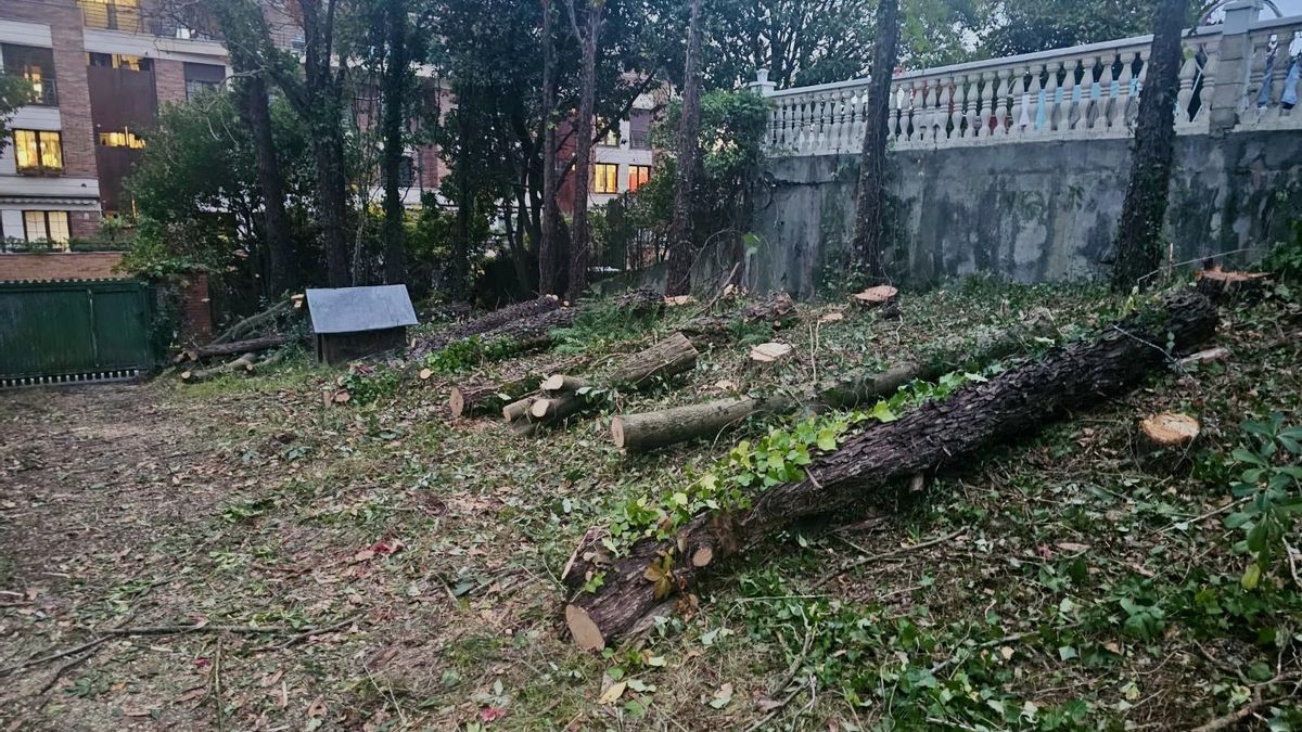 Los vecinos de Lugaritz en Donostia denuncian la tala de 40 árboles en el "espléndido" parque de la finca Ereski