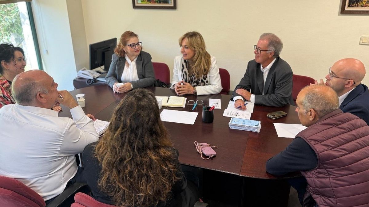 Sanidad y Salud Mental La Palma analizan la asistencia a personas con problemas de salud mental en la isla