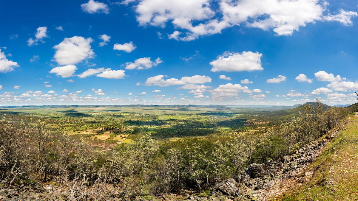 Una nueva guía para descubrir el patrimonio natural de alto valor del Parque del Valle de Alcudia y Sierra Madrona