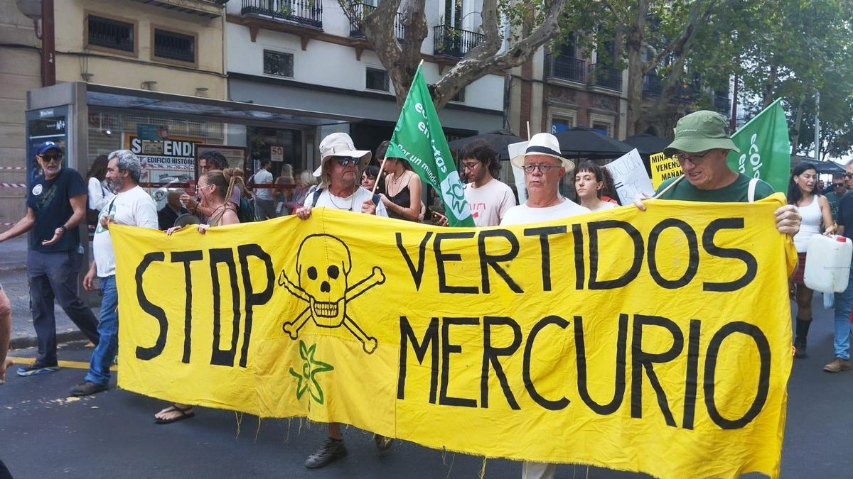 Según las entidades ecologistas, los vertidos contienen contaminantes como arsénico, cadmio, plomo, zinc, níquel y selenio