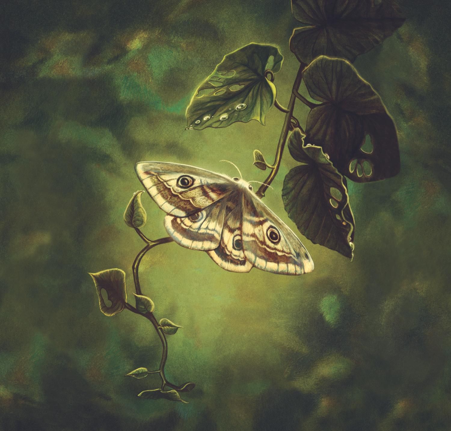 Ilustración de Benjamin Lacombe para 'Bambi'