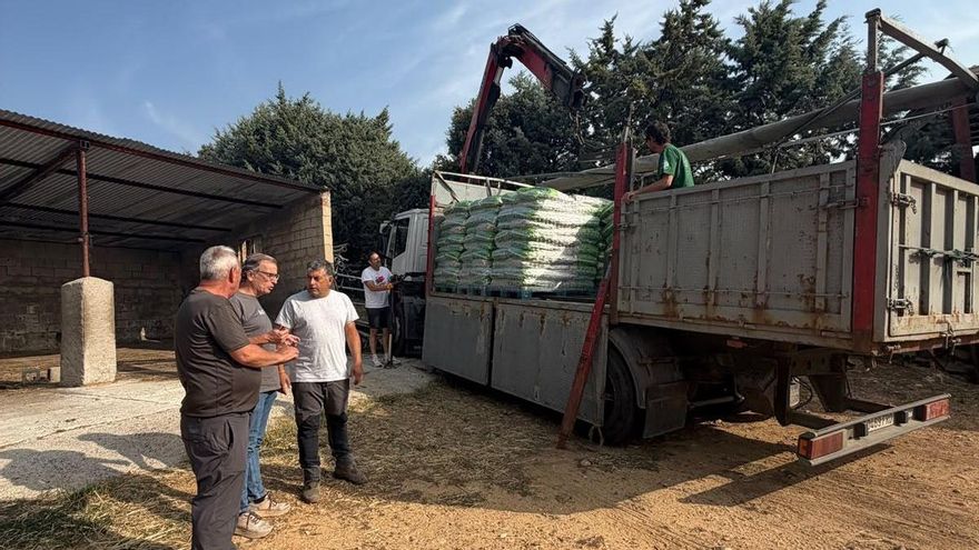 Abren un corredor para que los ganaderos puedan dar de comer a 8.500 animales atrapados en el fuego de La Mierla