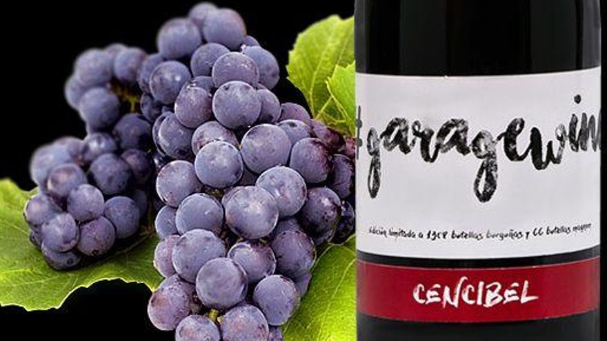 Cencibel de Garajewine