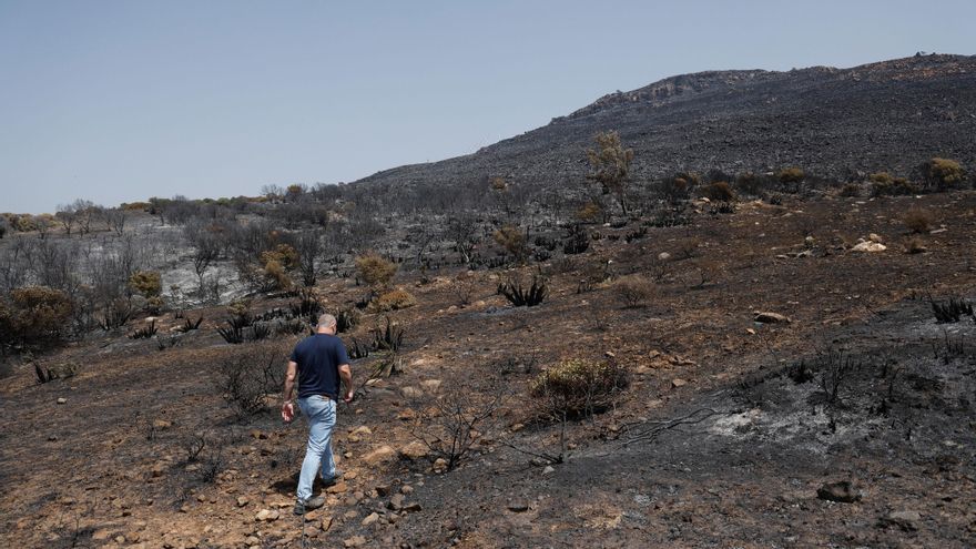 Controlado el incendio forestal declarado en Tarifa (Cádiz)