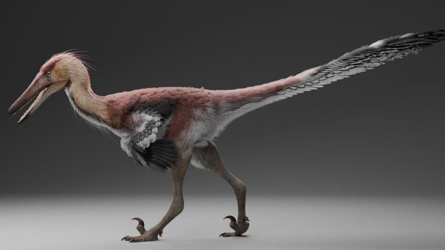 Descubren en Argentina un dinosaurio que pudo pescar como una garza hace 70 millones de años