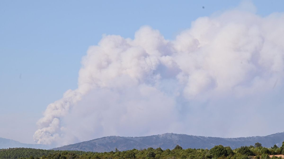 Pálmaces de Jadraque aplaza a septiembre su tradicional triatlón por los incendios de Selas y La Mierla