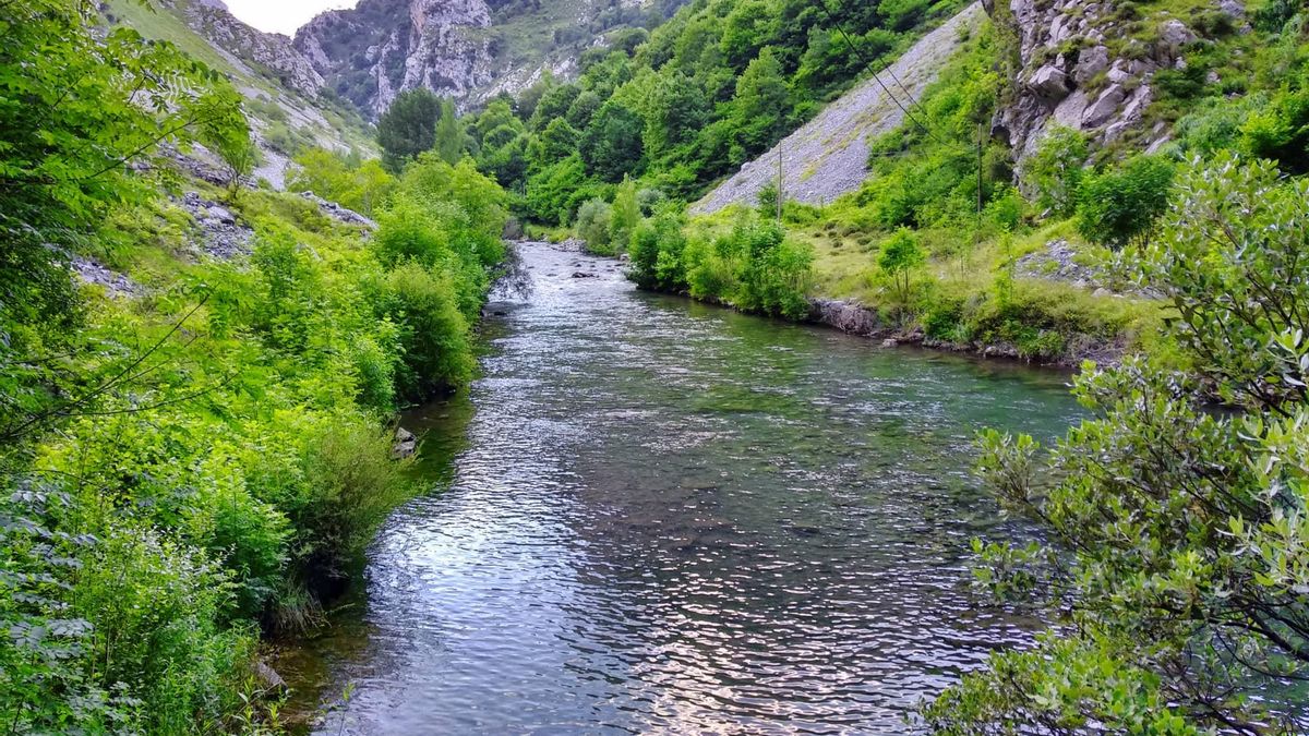 El proyecto para recuperar el río Naredo en Lena sale a información pública con una inversión de cuatro millones