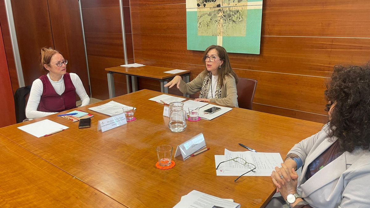 La diputada del común se reúne con representantes de los Conservatorios Profesionales de Música de Canarias.