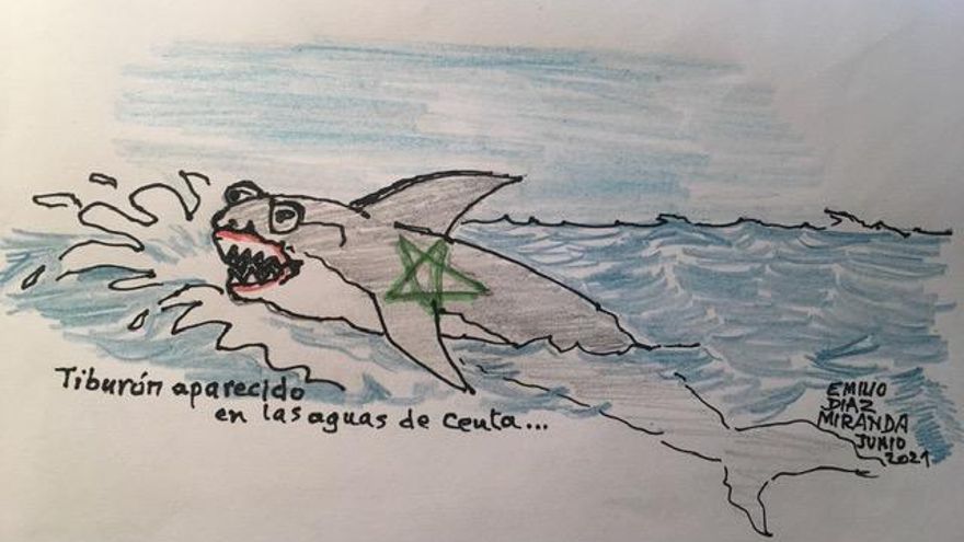 Tiburón aparecido en la aguas de Ceuta