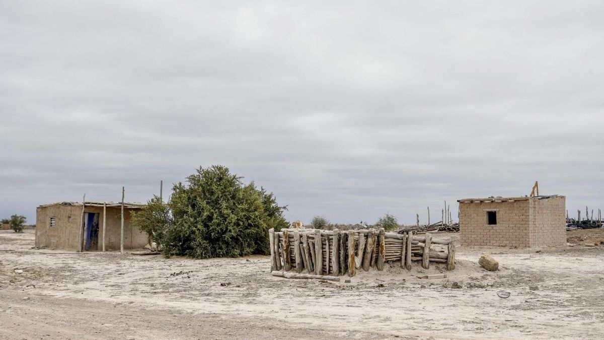 Casas de barro y madera de los trabajadores de la finca Pistachos de los Andes. Este método de construcción en la región proviene de las tradiciones ancestrales del pueblo indígena Huarpe.