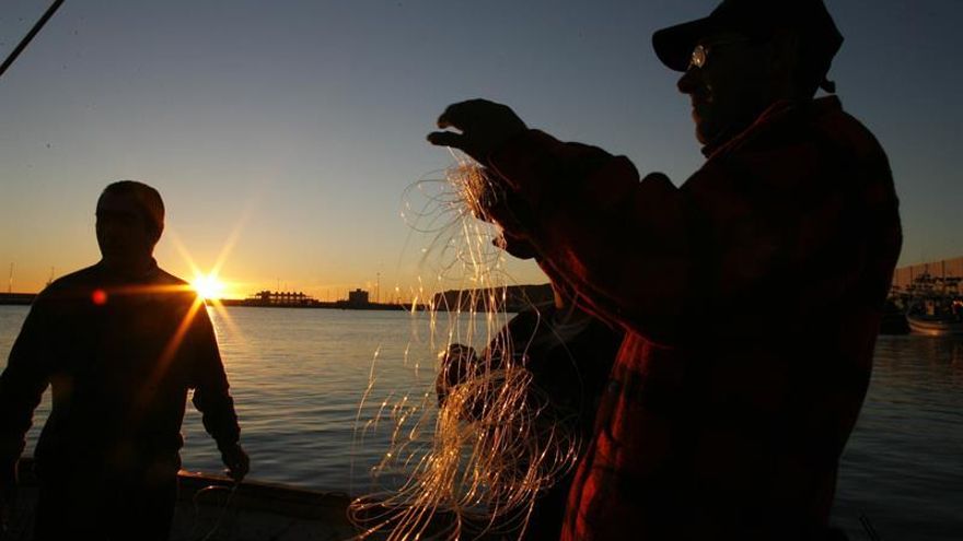 El reparto de la pesca en España es "inflexible" y costoso, según un informe