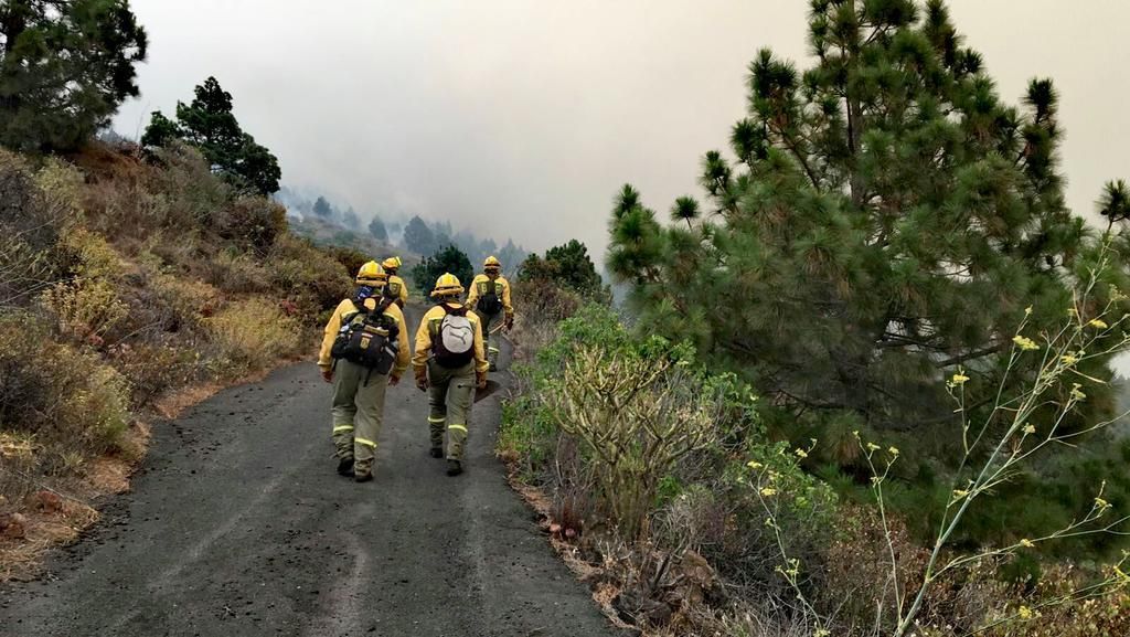 Incendio en El Paso en La Palma @AT_Brif