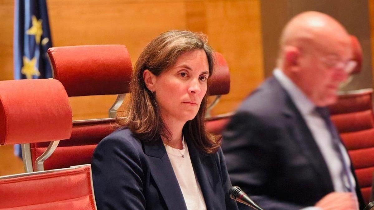 La senadora del PP Cristina Casanueva.