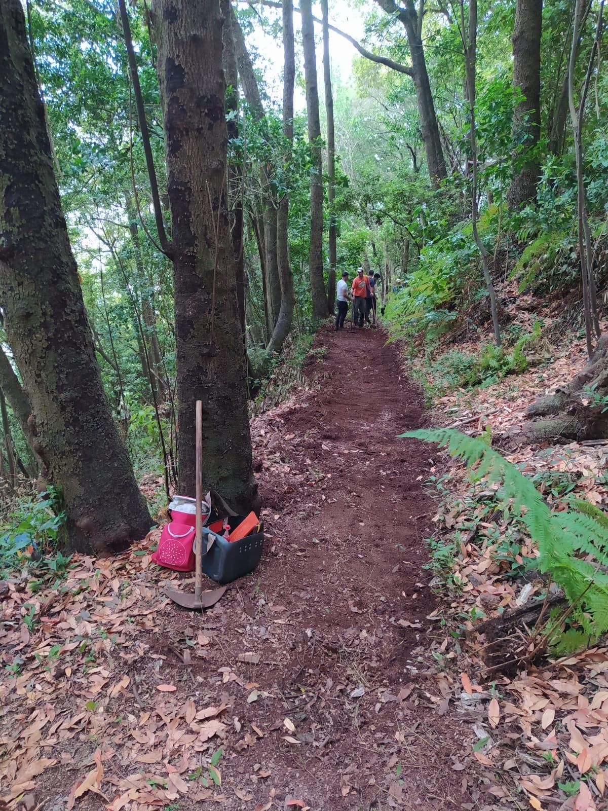 Trabajos de recuperación del camino.