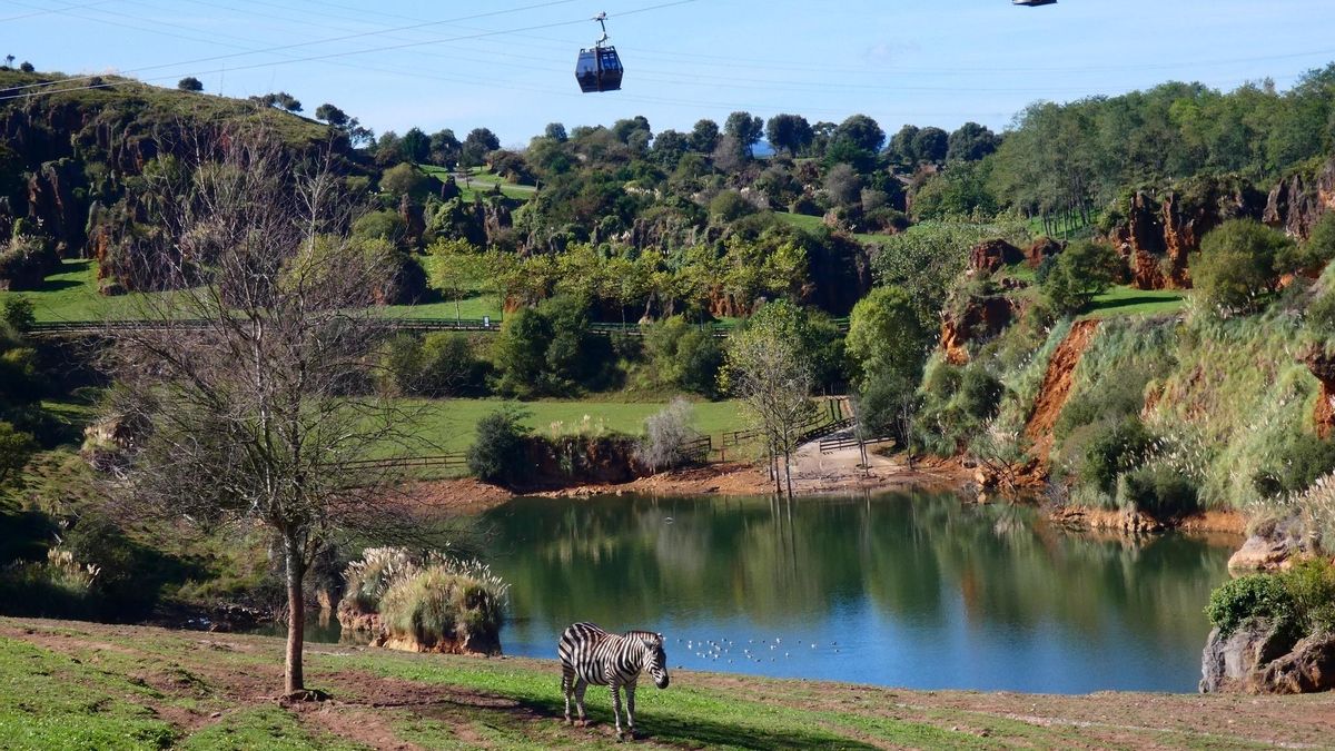 Desciende levemente el número de visitantes del Parque de Cabárceno