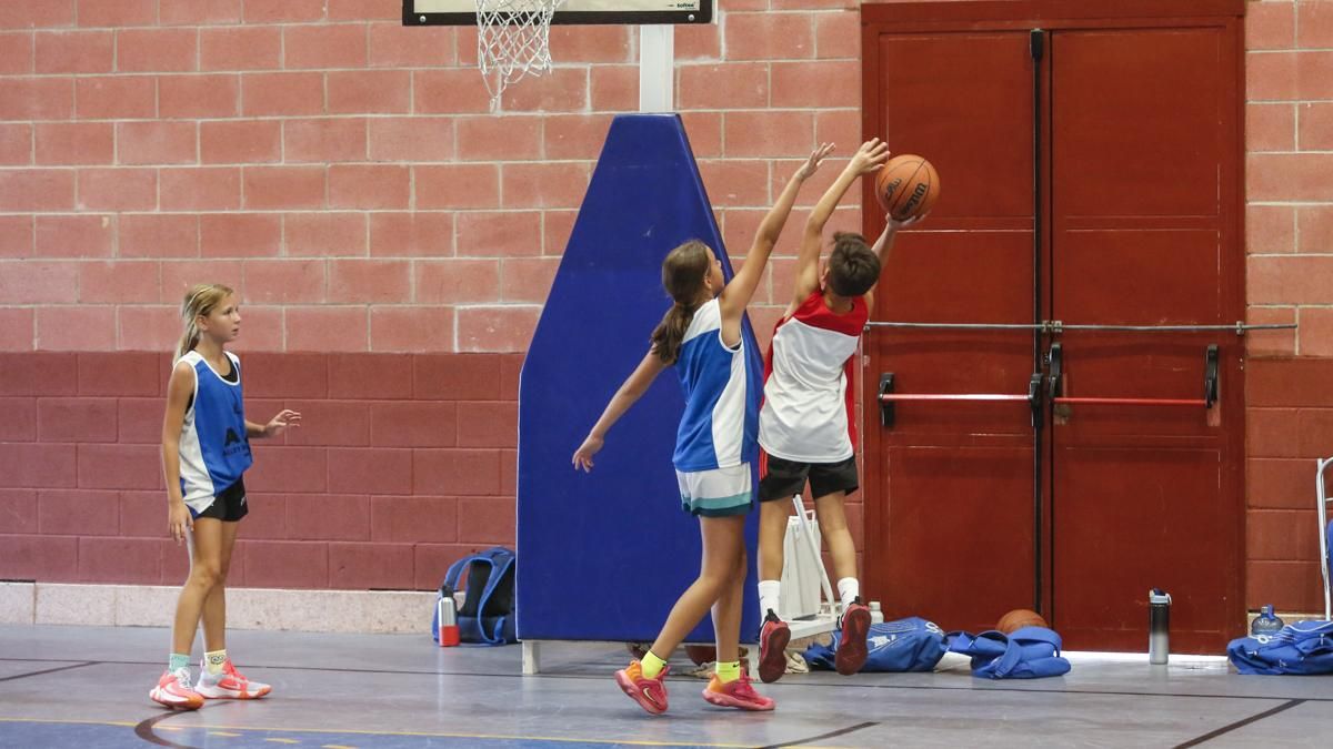 Alley Oop Academy