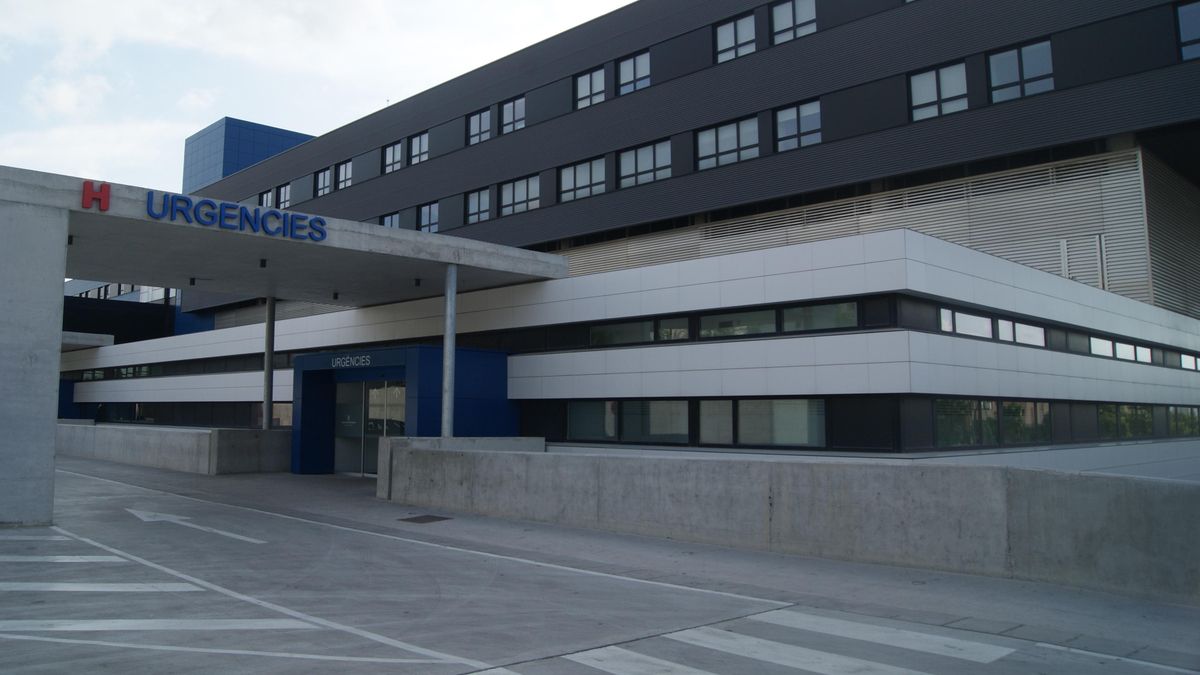 Dos de los afectados han sido trasladados al hospital Can Misses.