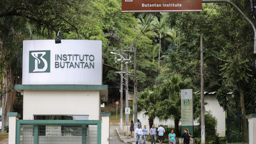 La vacuna brasileña contra el dengue tiene una eficacia del 79,6 %, según un estudio