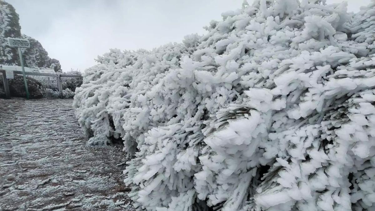 Finaliza la prealerta por nevadas en La Palma, Tenerife y Gran Canaria